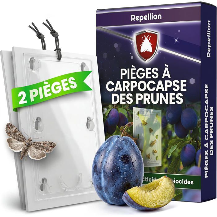 Lot de 2 pièges à prunes pour prunes et arbres à moutonnets - Piège à phéromones contre les mûres fruitiers - Non toxique et