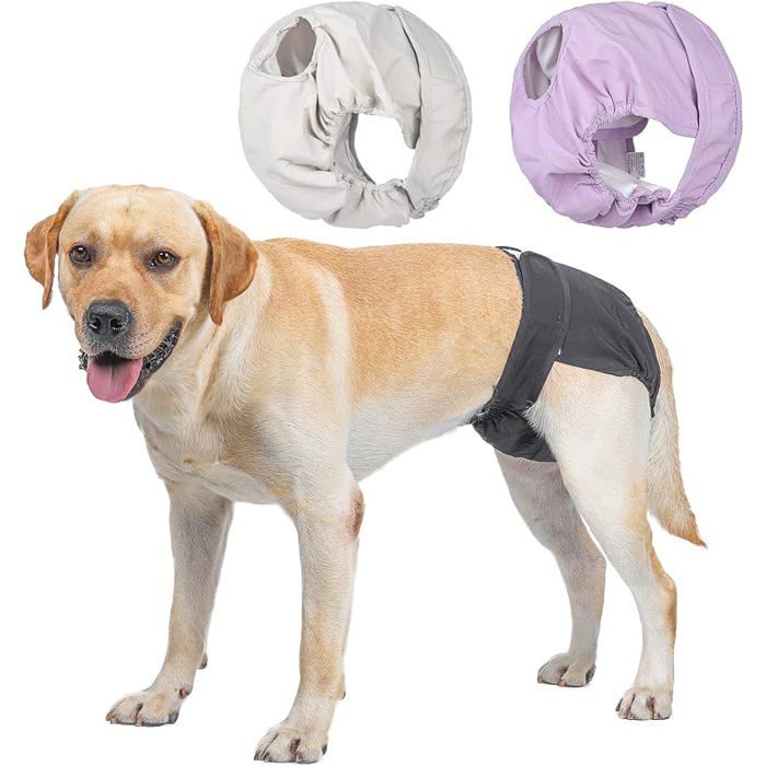 Couches Lavables pour Chiennes sous vêtements Hygiéniques pour Chiens en Chaleur 5 Tailles XS à XL 3 Packs XL: 6 CULOTTE HYGIENIQUE