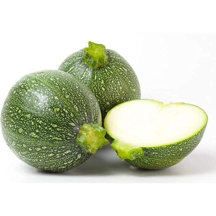 25 Graines de Courgette ronde - légumes ancien potager -- semences ...