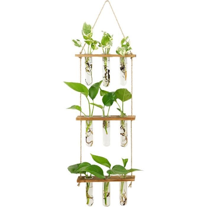 Station De Propagation Plantes En Verre - Support Bois Pour Hydroponie, Décoration Bureau (33x12,5cm)