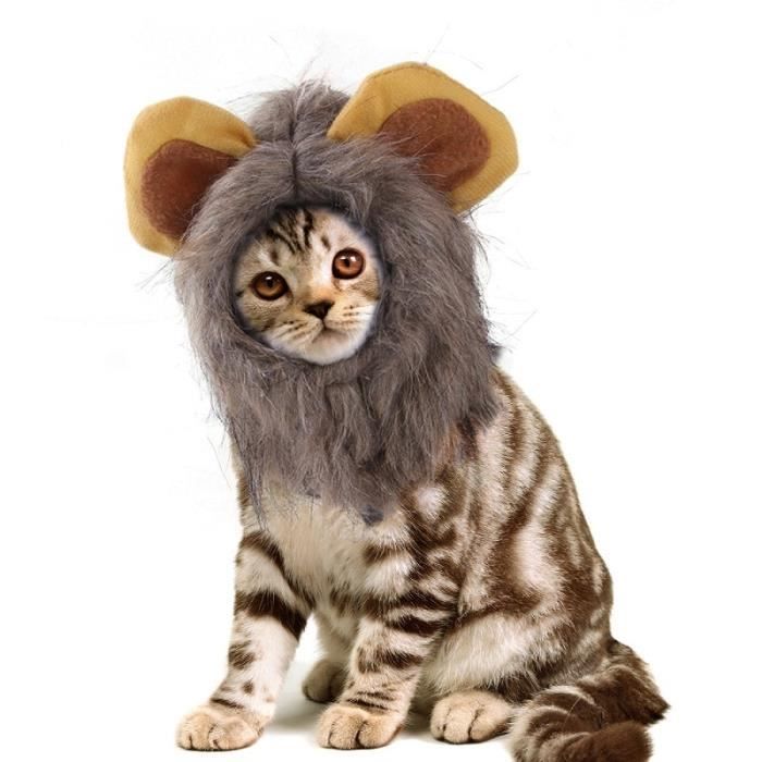 Animalerie Perruque Pour Chat Mignon Petit Chien Chat Deguisement Criniere De Lion Chapeau Pour Chien Deguisement Type L Cdiscount