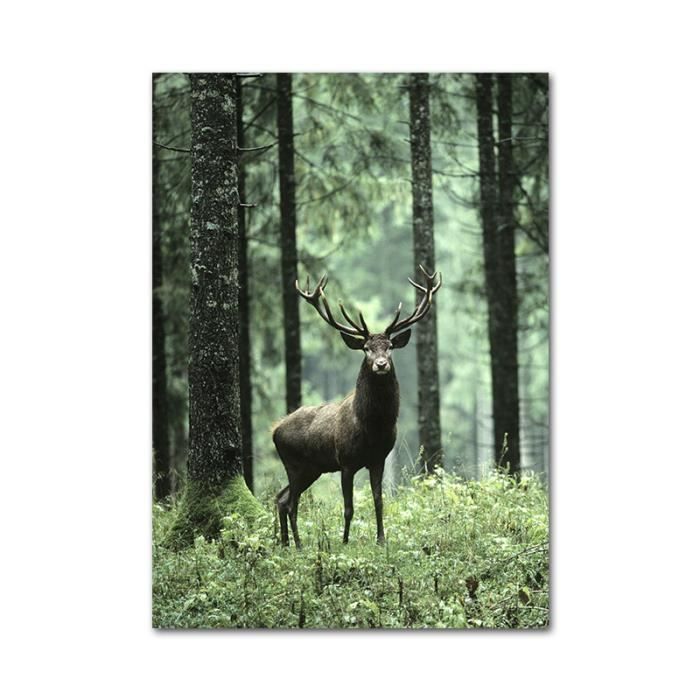 FuShvre 5 Pièces Zen Toile Art Mural Cascade Nature Scène