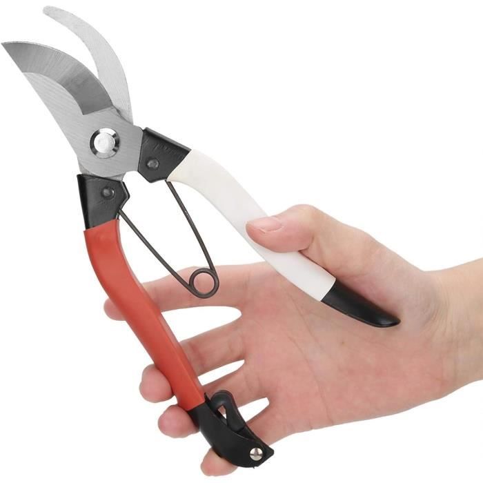 Sécateur De Jardin Ergonomique - Cisaille Pour Taille Plantes, Fleurs, Bonsaïs, Légumes (Acier 3Cr13) - 7