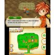 Story of Seasons Jeu 3DS-1