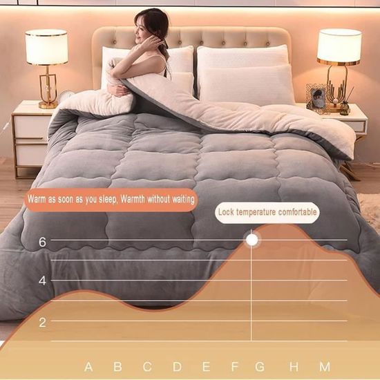 Couette Chaude Hiver 220x240 Cm 5 Kg - Double Face Polaire/douce, Réversible - 8