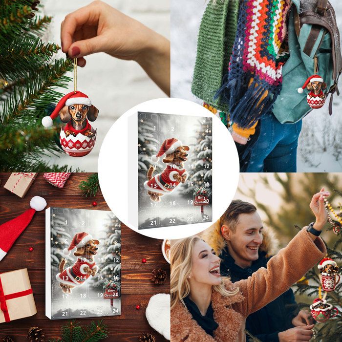 Calendrier De L'Avent Teckel 2025 - Compte à Rebours De Noël 24 Jours En Acrylique 2D | Ornements Suspendus, Réutilisable | Cadeau Pour Enfants, Adultes, Famille