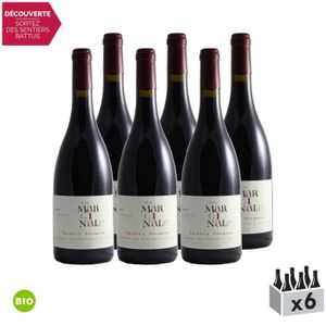 VIN ROUGE Saumur-Champigny La Marginale Rouge 2017 - Bio - Lot de 6x75cl - Domaine des Roches Neuves - Vin AOC Rouge du Val de Loire - Cépage