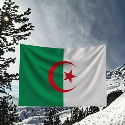 Drapeau Brésil 60 x 90 cm - MaxFlags