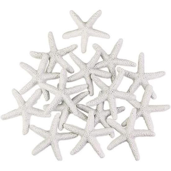Free étoile de mer sous-marine océan mer pour la décoration 10253002 PNG with Transparent Background