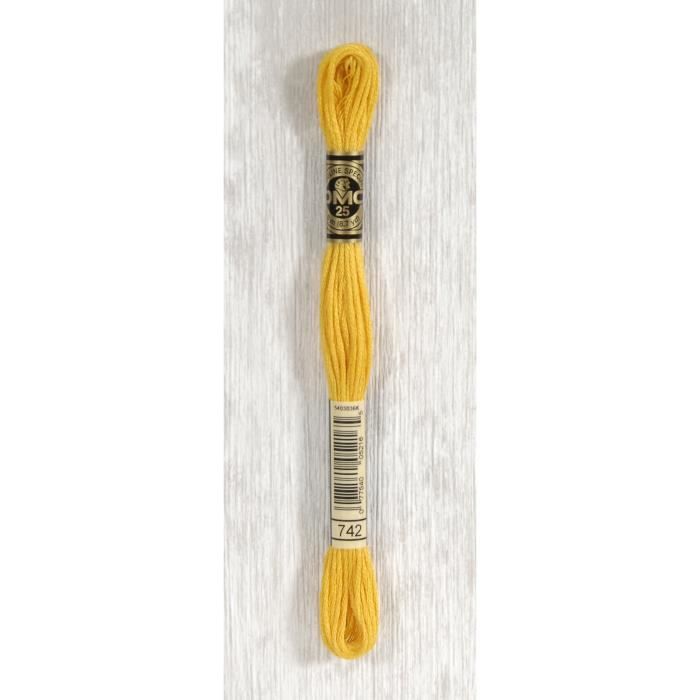 DMC Fil Mouliné 742