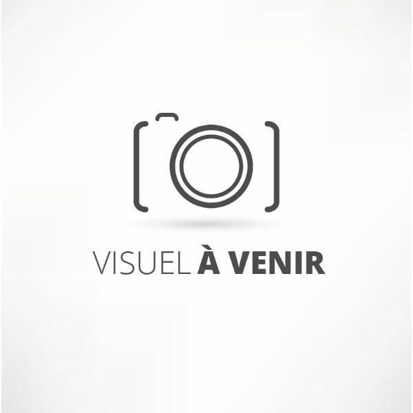 SOKANY Fer à Vapeur Repasser 2400W 5 Vitesses Réglable Anti-goutte Anti-calcaire Sans fil Rechargeable Violet