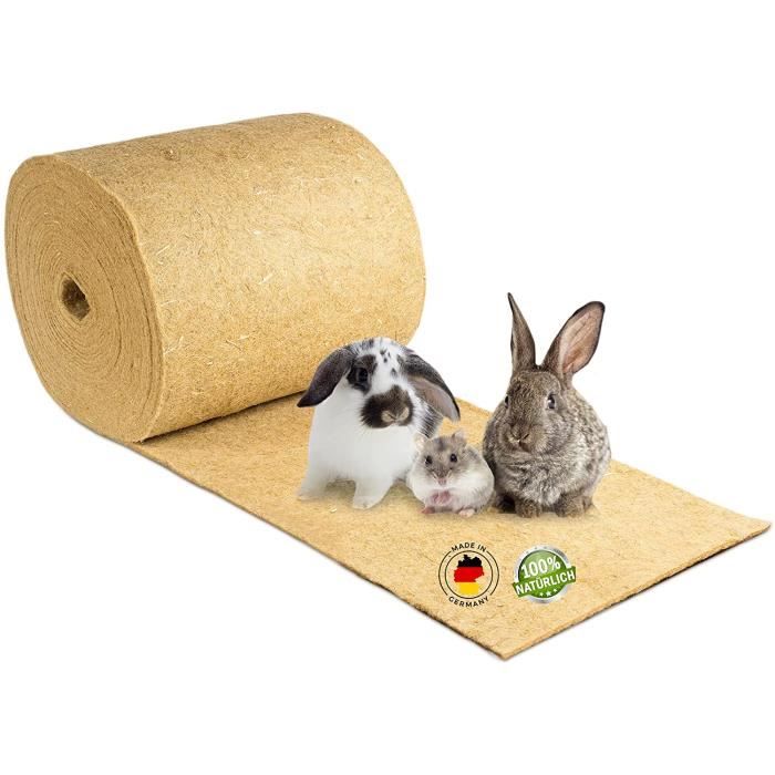 bâton direction ciment tapis de chanvre lapin Vue phrase Père