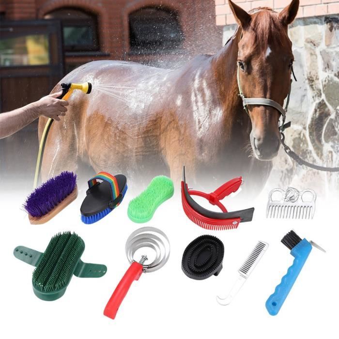 Outil de nettoyage pour chevaux, kit de toilettage pour chevaux