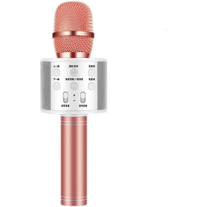 Microphone karaoké professionnel sans fil, machine à chanter