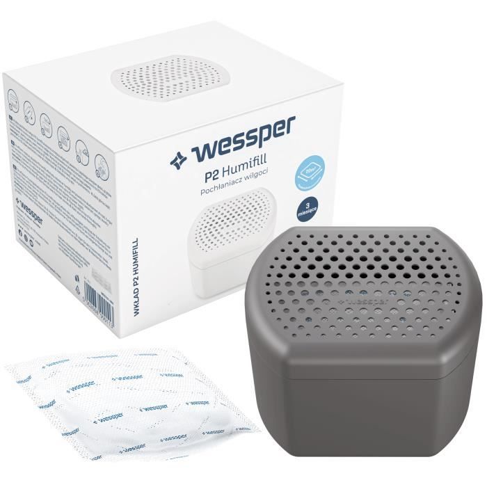 Wessper Déshumidificateur d'air pour la Maison, absorbeur d'humidité et  Anti odeurs pour pièces de 20 m², 1 Sachet de 250g Gris