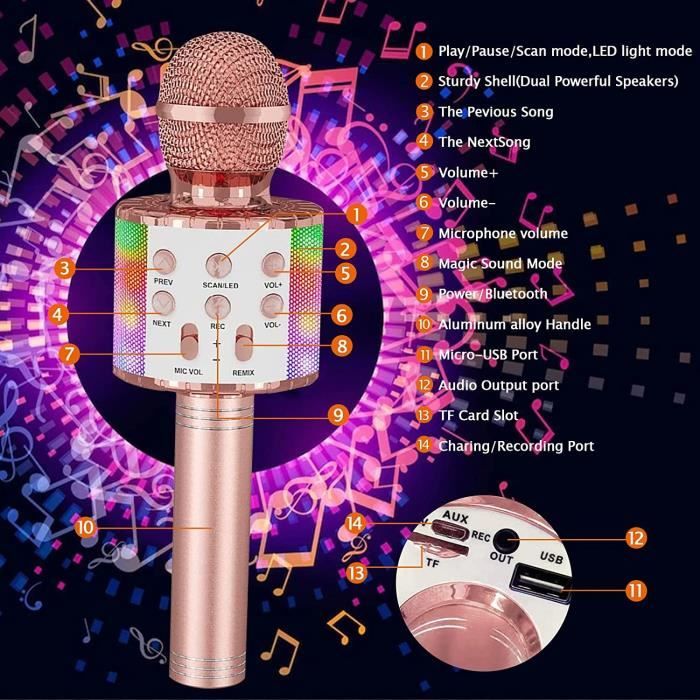 Microphone portable Microphone fil Micro karaoké professionnel avec  récepteur rechargeable pour soirée son lecteur - Vvikizy - Cdiscount Jeux -  Jouets