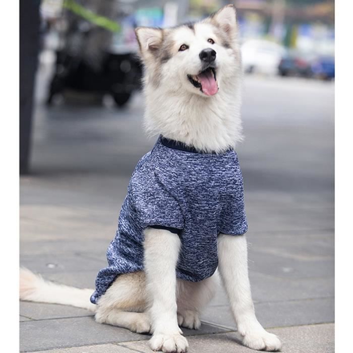 Vêtements chiens hotsell