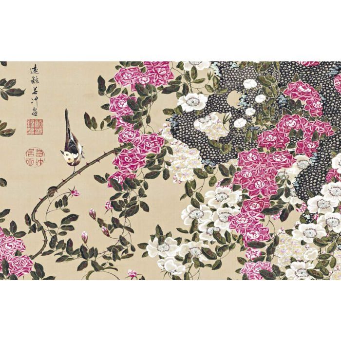 Livre D art Sur Ito Jakuchu Ito Jakuchu P riode Edo Peinture livre-d-art-sur-ito-jakuchu-ito-jakuchu-p-riode-edo-peinture