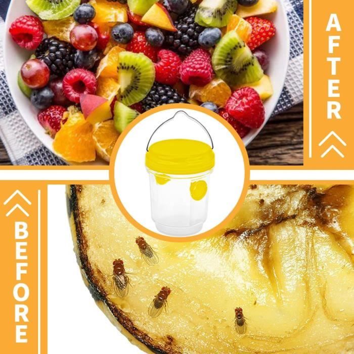 Piège à Guêpes Insectes, Piège Frelon Asiatique Selectif à Suspendre ...