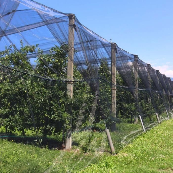 Filet Protection Oiseaux 5x15m - Maille 60mm - Polyéthylène Anti-UV - Pour Potager Et Verger