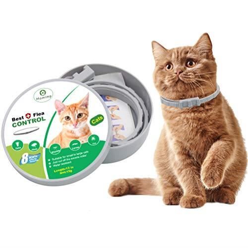 HOMIMP - Collier anti-puces pour chat - 8 mois de protection contre les puces - Pour chats, chatons, chiots - 33 cm