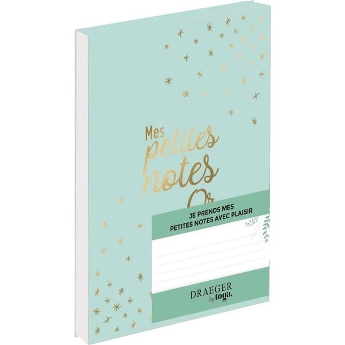 Carnet Mes petites notes en or
