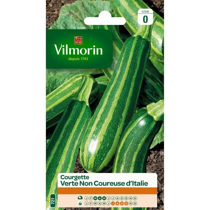 VILMORIN Courgette non coureuse d’Italie