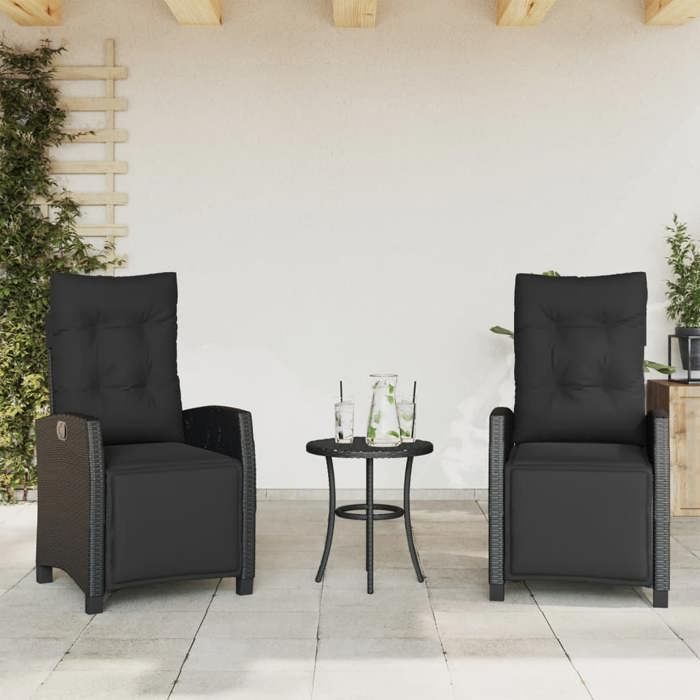 Remise Lot de 2 Chaises inclinables de jardin - 2 Personnes - repose-pied noir rotin JILIMAISON2025 2455851