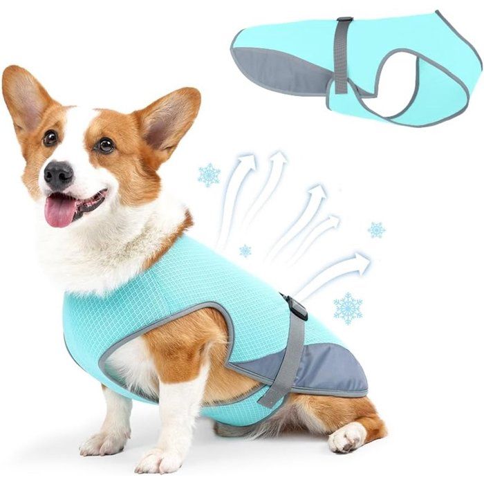 Gilet Rafraîchissant pour Chien Protection UV et Tissu Respirant Corgi et Bouledogue - Bleu Taille M