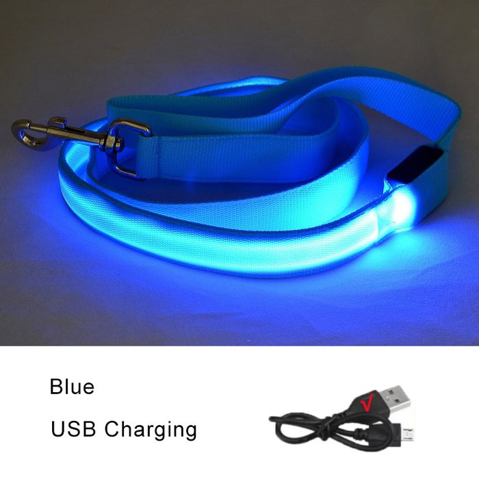 Laisse lumineuse pour chien - Phoesky - LED - Nylon solide - Rechargeable USB - 120x2 5 cm - Bleu - Étanche