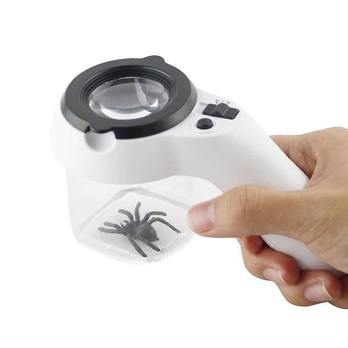 Lot De 2 Boîtes D'observation Insectes Avec Loupe Intégrée - Conteneur Transparent 7x6,5 Cm, ABS, Pour Enfants, Exploration Extérieure