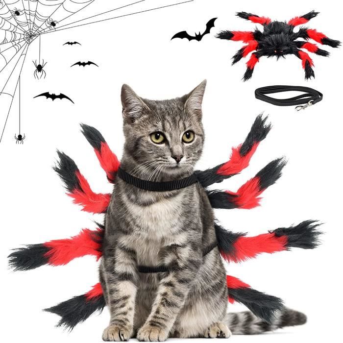 Costume De Chien De Araignee Halloween Costume Araignee Chats Chien De Compagnie Halloween Costume Araignee Deguisement Cospla 177 Cdiscount Costume De Chien De Araignee Halloween Costume Araignee Chats Chien De Compagnie Halloween Costume Araignee Deguisement Cospla 177 Cdiscount