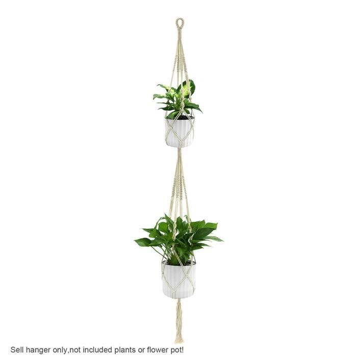 Crochets Et Suspensions Pour Plantes Crochets Muraux Plantes En
