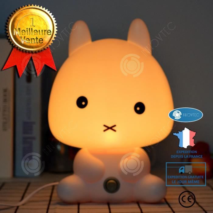 Inn Beau Dessin Anime De Lapin Forme Portable De Bureau De Lampe De Lumiere De Lampe Lampe De Nuit Pour Bebe Cadeau De Noel Cdiscount Bricolage