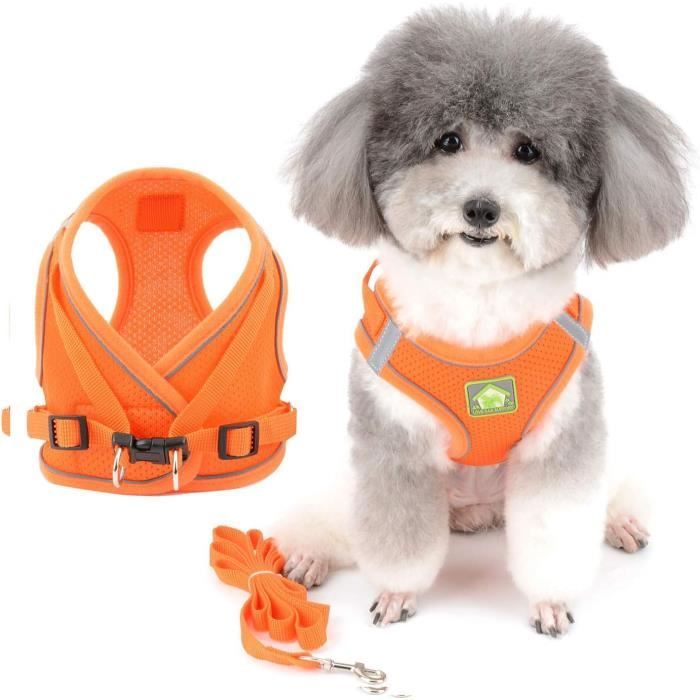 Ensemble harnais et laisse pour chien réfléchissant réglable