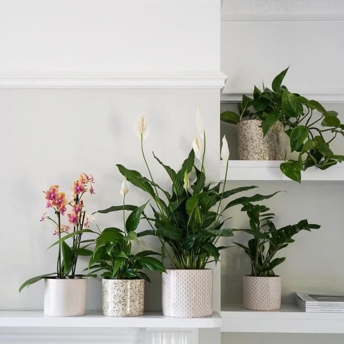 Pot De Fleurs En Céramique, Effet Lin, 16 X 18 Cm[b4258] - Cdiscount Jardin