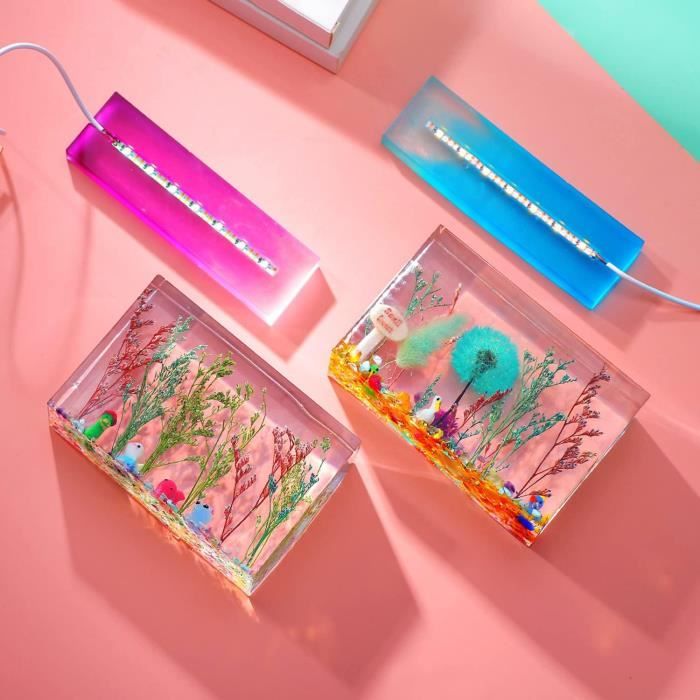 TMISHION Moule Organisateur En Résine Moules En Résine De Silicone