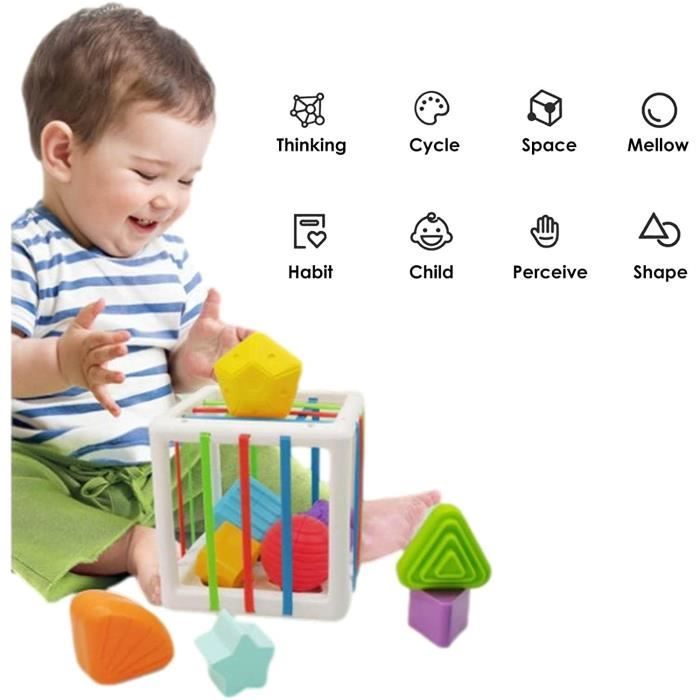 Trieur de formes de bébé Jouets Cerveau coloré Poubelle sensorielle Jouet  Portable pour tout-petit Poubelle sensorielle Jouet Montessori Jouets pour  1 an, Jouets pour bébé 6-12-18 mois 