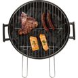 Barbecue à charbon - LIVOO DOC172VE - Acier émaillé - Surface cuisson 41 cm-4