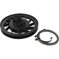 Poulie De Lanceur Adaptable Briggs & Stratton Sprint/Classic - Ø 123 Mm - Réf. 281336