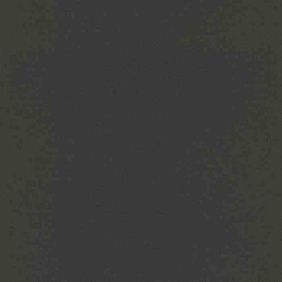 Rasch Papier Peint 691306 - Papier Peint Intissé Avec Motif De Palmiers Exotiques En Noir Et Or 86158083