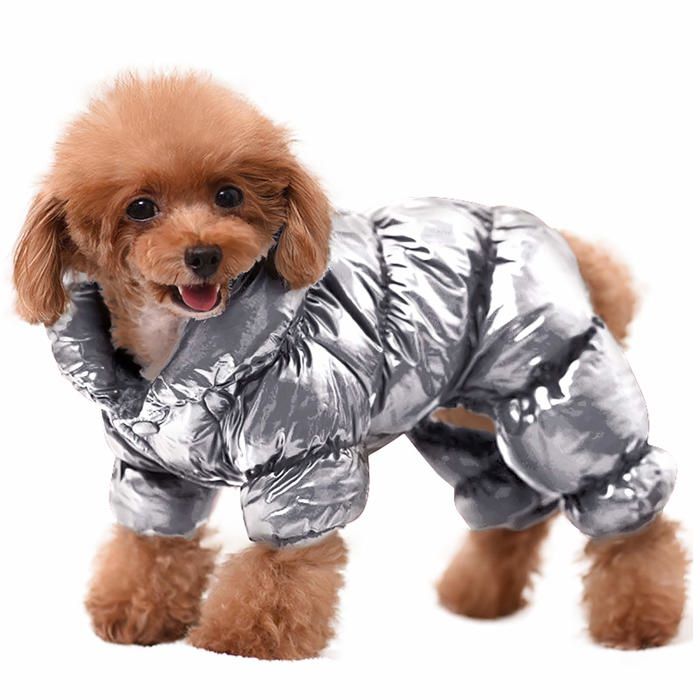 Manteau coupe-vent SnugSnout pour bouledogues français, indispensable pour l'hiver Manteau coupe-vent SnugSnout pour bouledogues français, indispensable pour l'hiver