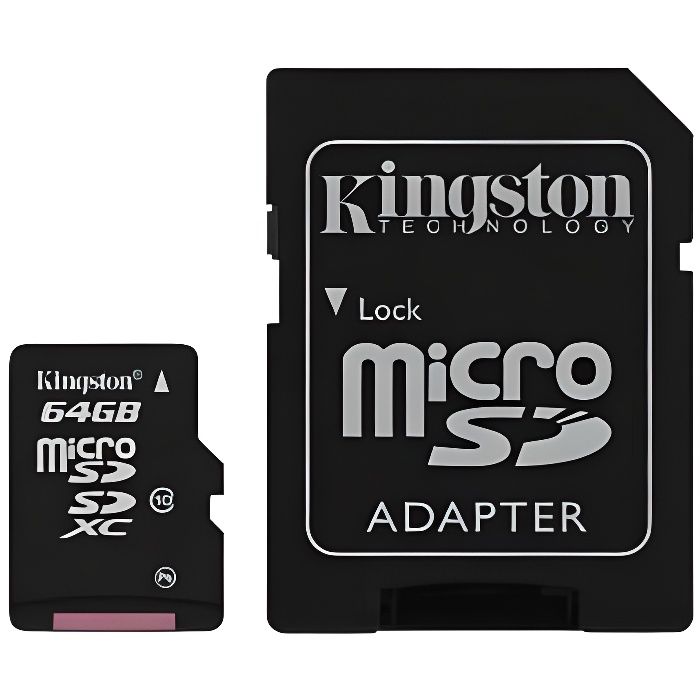 Samsung Carte Micro-SD EVO PLUS 64 Go avec adaptateur SD - Carte mémoire -  Samsung