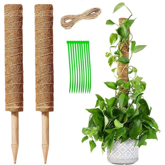 Pack 30 Tuteurs Tomates 40 Cm En Acier Plastifié + Clips & Connecteurs – Supports Plantes Grimpantes Jardin Potager – Solides Et Réglables