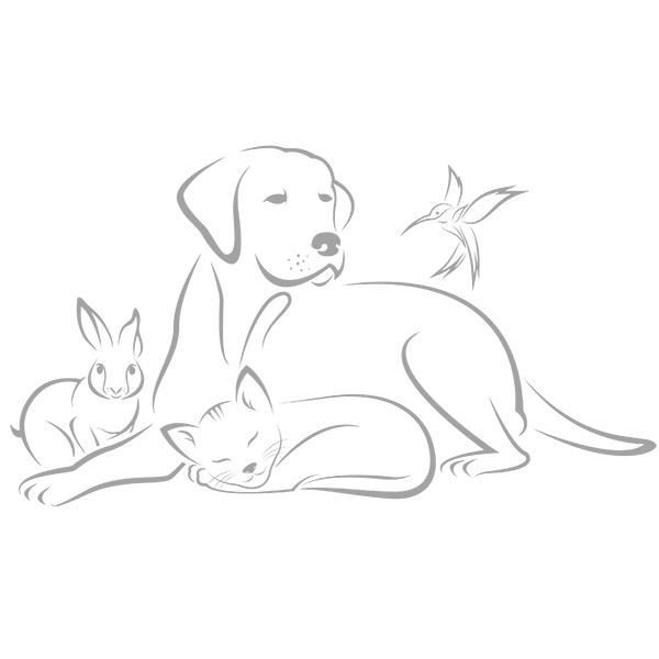 Sticker Animaux Chien Chat Lapin Oiseau Mignons 30x54 Cm Gris Anim002 Cdiscount Maison Sticker Animaux Chien Chat Lapin Oiseau Mignons 30x54 Cm Gris Anim002 Cdiscount Maison