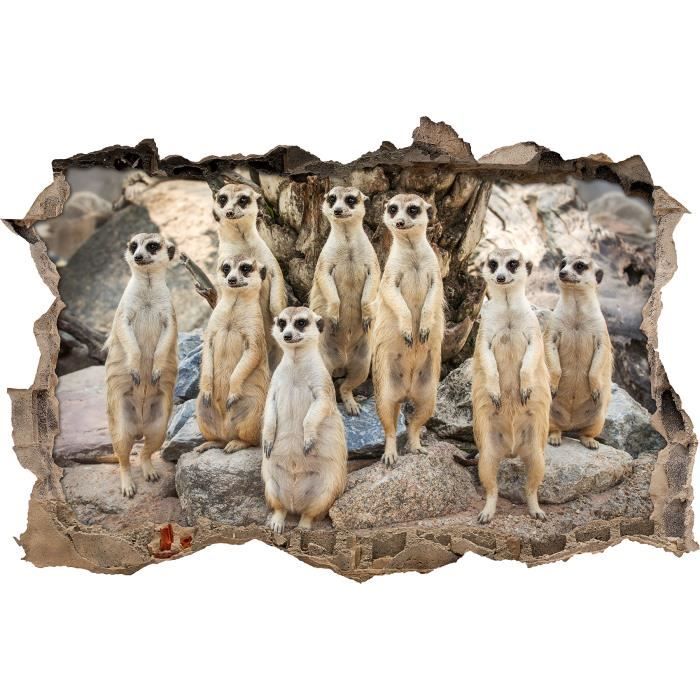 Drole Percee Murale Suricate En 3d Look Mur Ou Format Vignette De La Porte 62x42cm Stickers Muraux Sticker Mural Decoration Cdiscount Maison