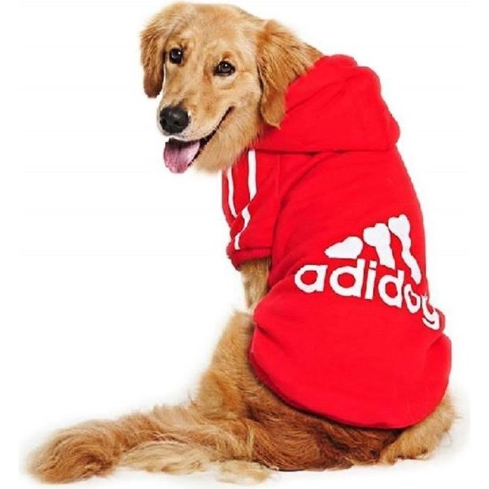 Pull chiot on sale