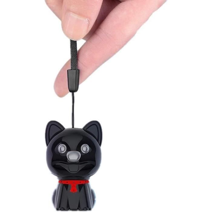 Sctecoau Enregistrement Vocal USB Mini Enregistreur Vocal Numérique MiniSound Dictaphone Enregistreur Audio Stylo 32 Go Pour Entretien De Réunion