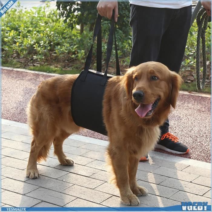 Meilleurs prix pour Harnais de Support pour Chien - VGEBY - Réglable - Ergonomique - Confortable - 4 Tailles