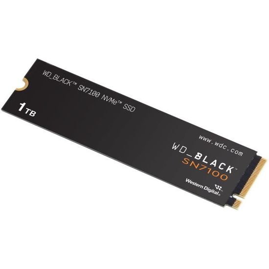 western-digital-wds100t4x0e-